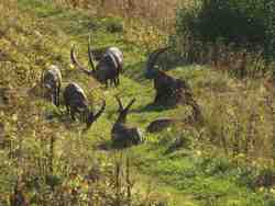 Cliquer pour agrandir l'image (1024x768 pixels; 86 KB)