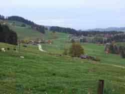 Cliquer pour agrandir l'image (2592x1944 pixels; 14762 KB)