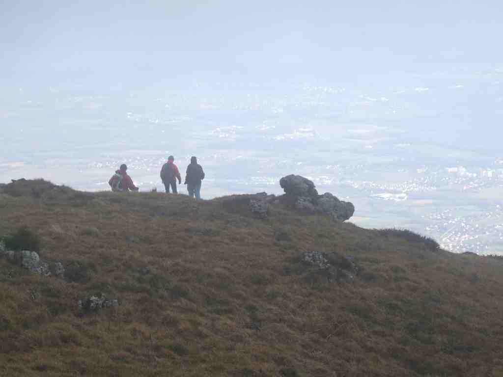 Cliquer pour voir l'image suivante