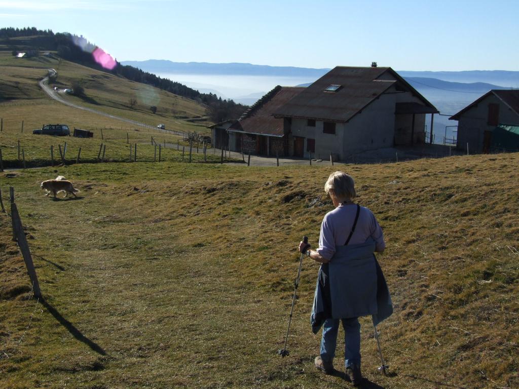 Cliquer pour voir l'image suivante