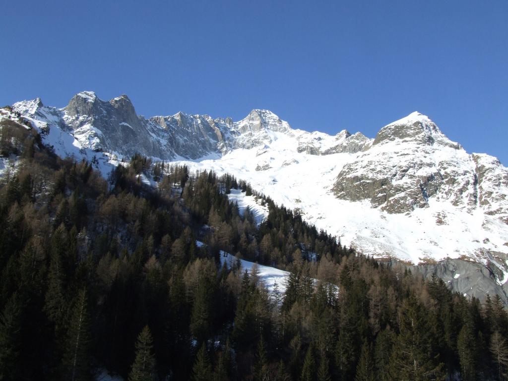 Cliquer pour voir l'image suivante