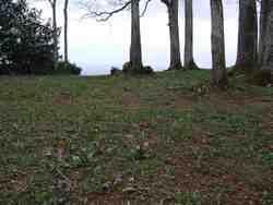 Cliquer pour agrandir l'image (2592x1944 pixels; 14762 KB)