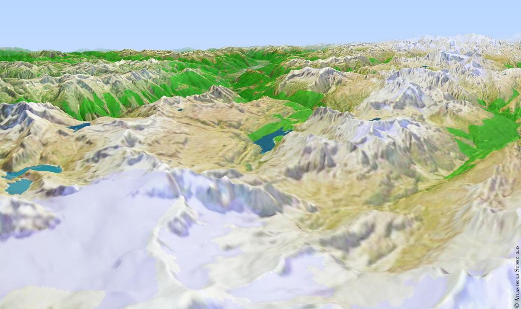 Cliquer pour voir l'image suivante