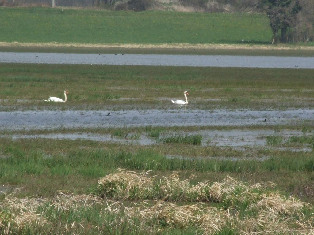 Click to see next picture