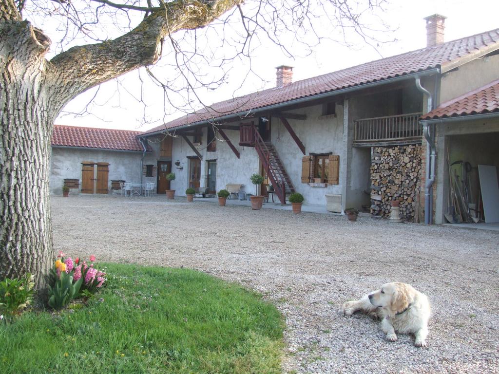 Click to see next picture