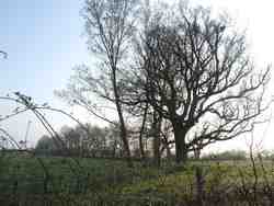 Cliquer pour agrandir l'image (1024x768 pixels; 195 KB)