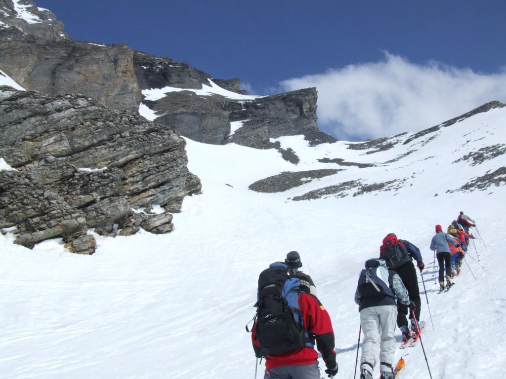 Cliquer pour voir l'image suivante