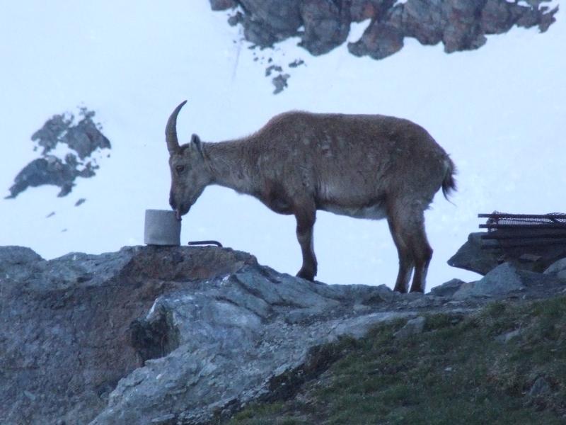 Cliquer pour voir l'image suivante