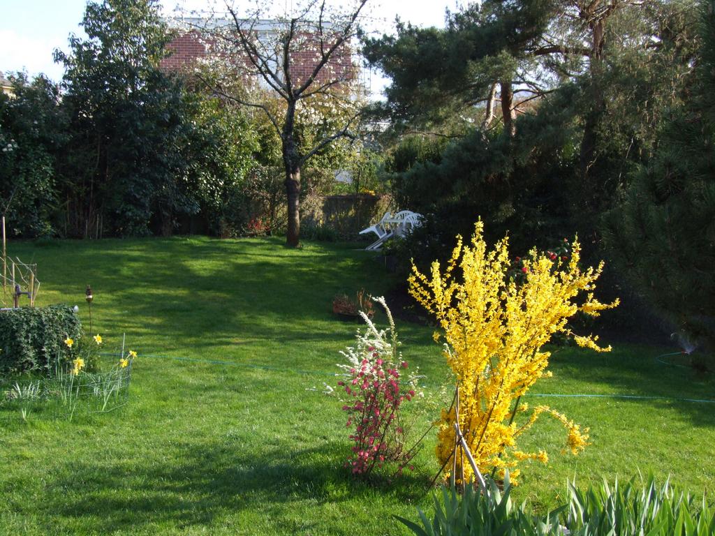 Cliquer pour voir l'image suivante