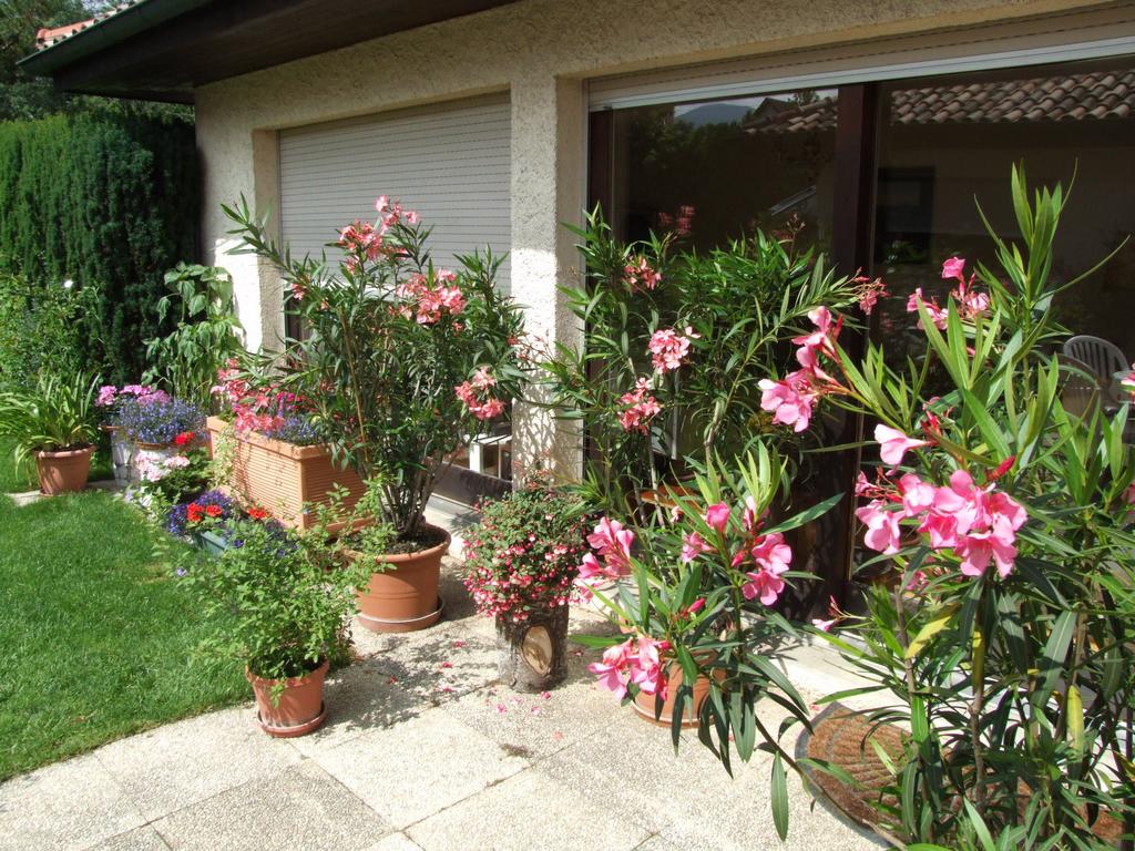 Cliquer pour voir l'image suivante