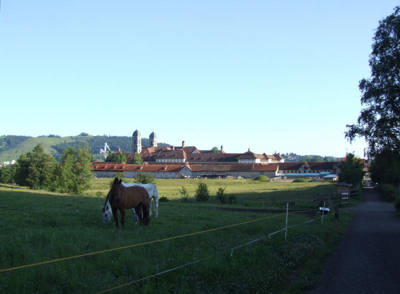 Click to see next picture