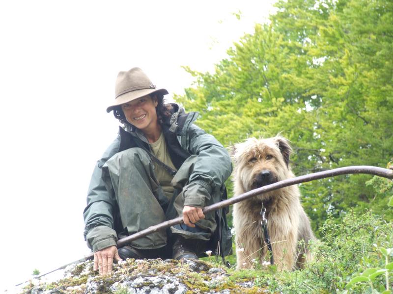 Cliquer pour voir l'image suivante