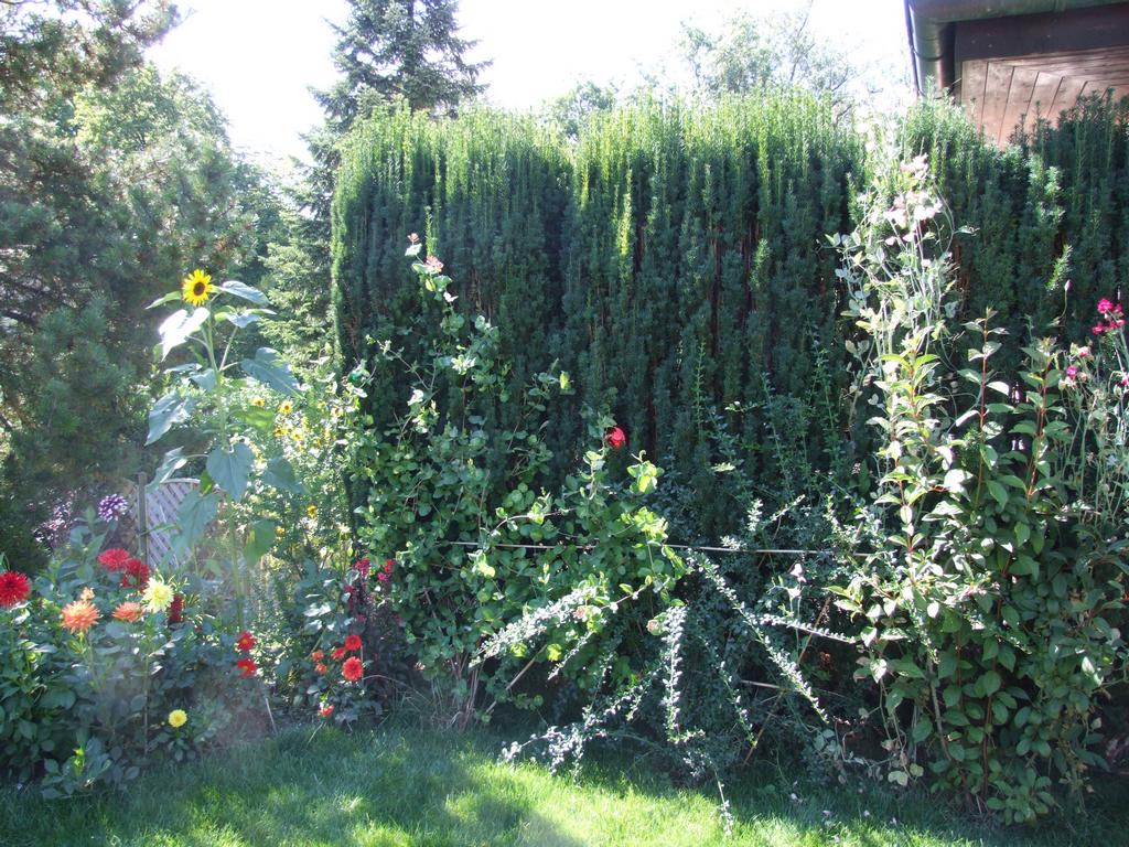 Cliquer pour voir l'image suivante