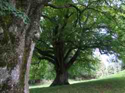 Clic pour agrandir l'�mage (1024x768 pixels; 214 KB)