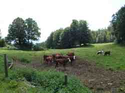 Clic pour agrandir l'�mage (1024x768 pixels; 143 KB)