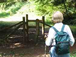 Clic pour agrandir l'�mage (1024x768 pixels; 158 KB)