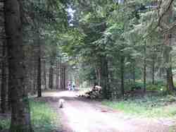 Clic pour agrandir l'�mage (1024x768 pixels; 193 KB)