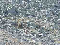 Clic pour agrandir l'�mage (1024x768 pixels; 198 KB)