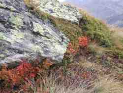 Clic pour agrandir l'�mage (1024x768 pixels; 205 KB)