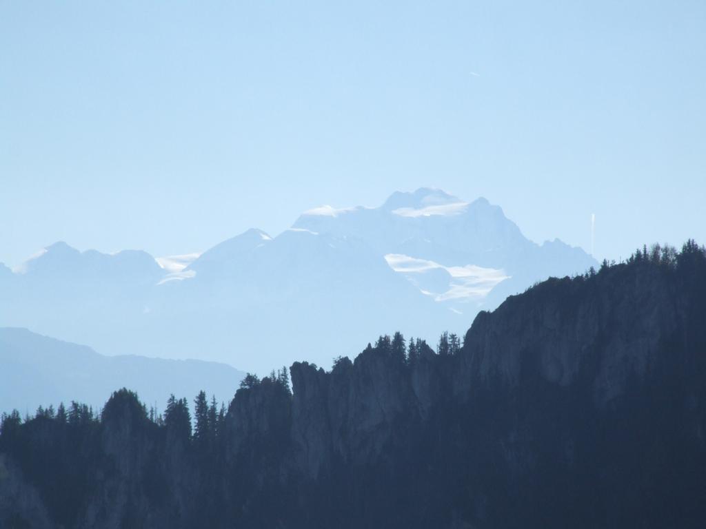 Clic pour voir l'image suivante