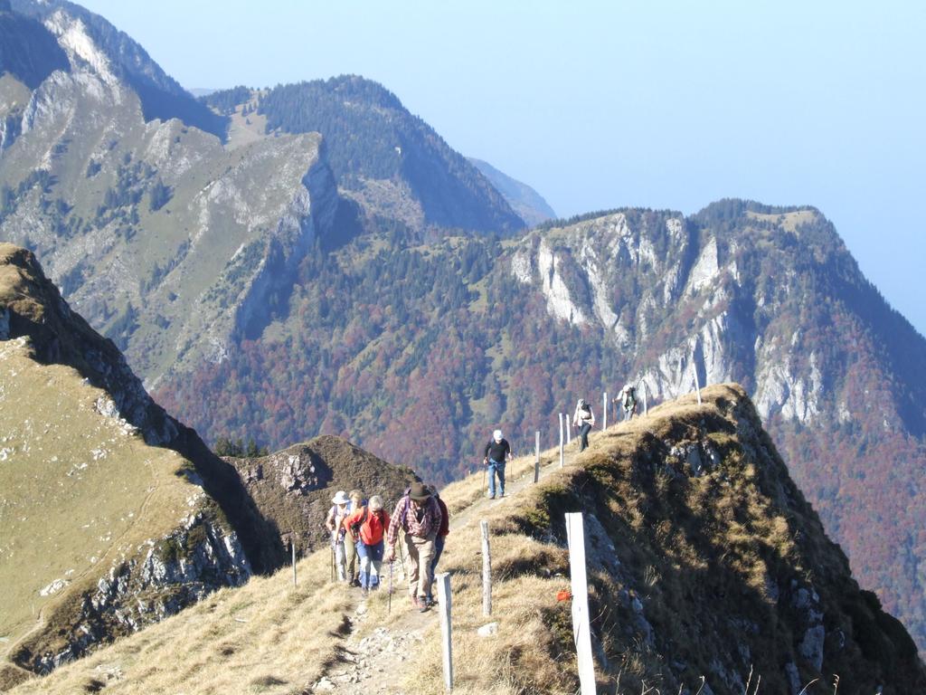 Clic pour voir l'image suivante