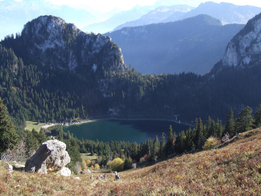 Clic pour voir l'image suivante