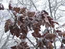 Clic pour agrandir l'�mage (1024x768 pixels; 138 KB)