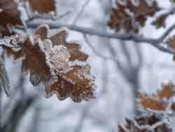 Clic pour agrandir l'�mage (1024x768 pixels; 71 KB)