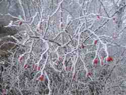 Clic pour agrandir l'�mage (1024x768 pixels; 171 KB)