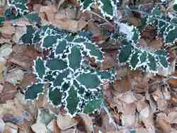 Clic pour agrandir l'�mage (1024x768 pixels; 170 KB)