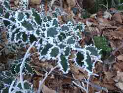 Clic pour agrandir l'�mage (1024x768 pixels; 169 KB)