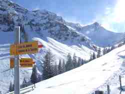 Clic pour agrandir l'mage (1024x768 pixels; 111 KB)