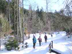 Clic pour agrandir l'�mage (1024x768 pixels; 194 KB)