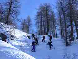 Clic pour agrandir l'�mage (1024x768 pixels; 187 KB)