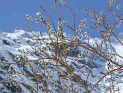 Clic pour agrandir l'mage (1024x768 pixels; 127 KB)