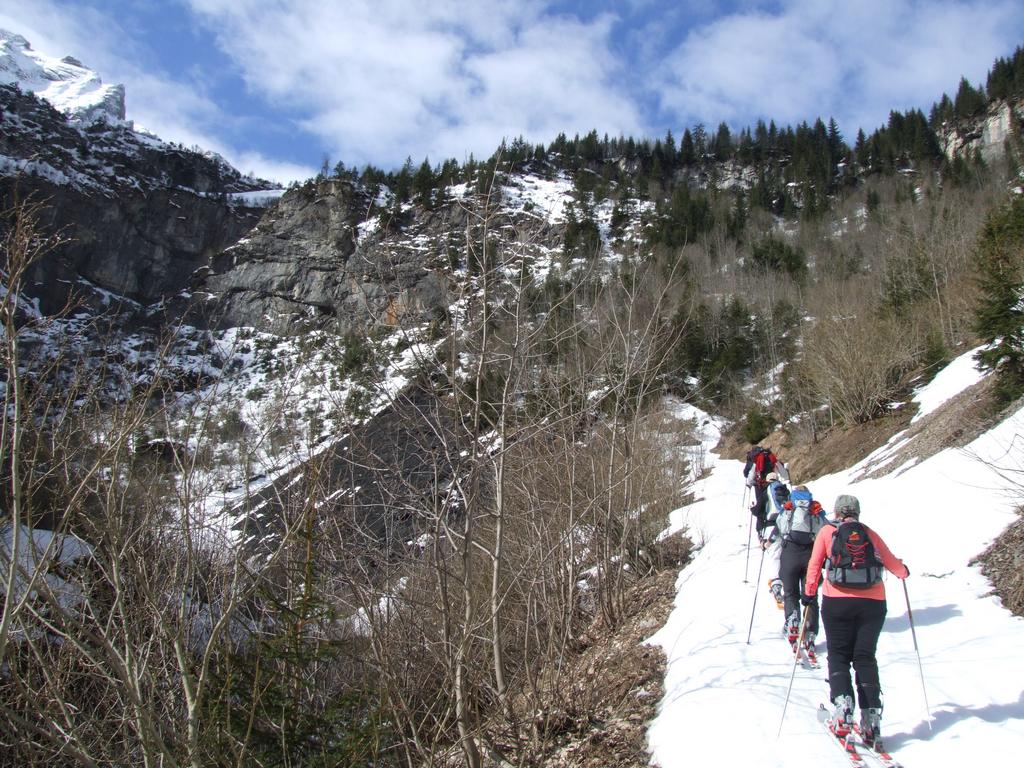 Clic pour voir l'image suivante