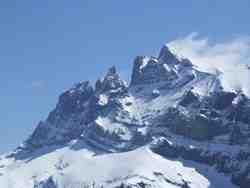 Clic pour agrandir l'�mage (800x600 pixels; 52 KB)