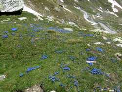 Clic pour agrandir l'�mage (1024x768 pixels; 235 KB)