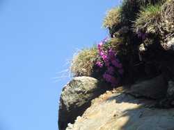 Clic pour agrandir l'�mage (1024x768 pixels; 94 KB)