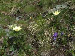 Clic pour agrandir l'�mage (1024x768 pixels; 238 KB)