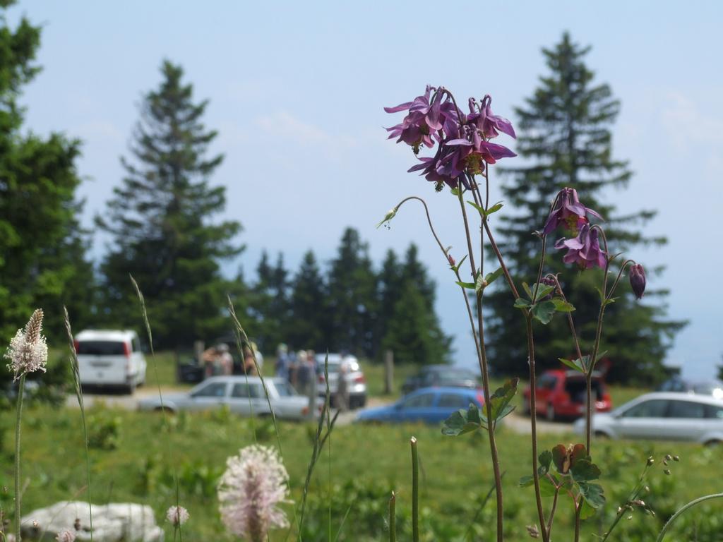 Pour l'image suivante