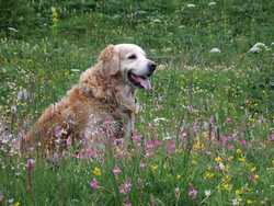 Clic pour agrandir l'mage (1024x768 pixels; 200 KB)