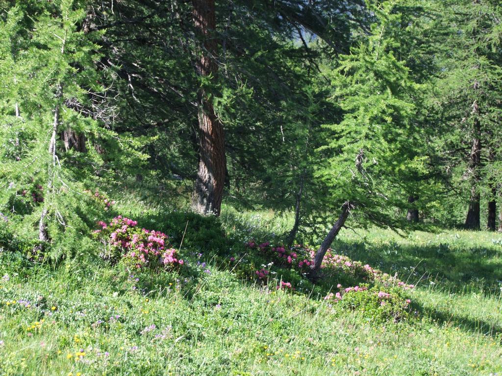 Clic pour voir l'image suivante