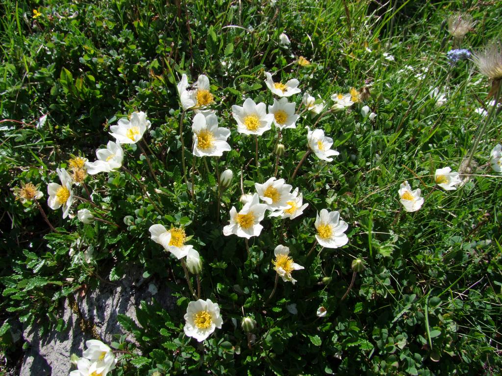 Clic pour voir l'image suivante