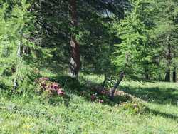 Clic pour agrandir l'îmage (1024x768 pixels; 274 KB)