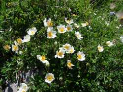 Clic pour agrandir l'îmage (1024x768 pixels; 243 KB)