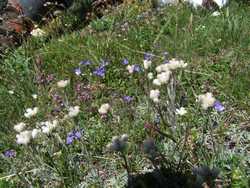 Clic pour agrandir l'îmage (1024x768 pixels; 243 KB)