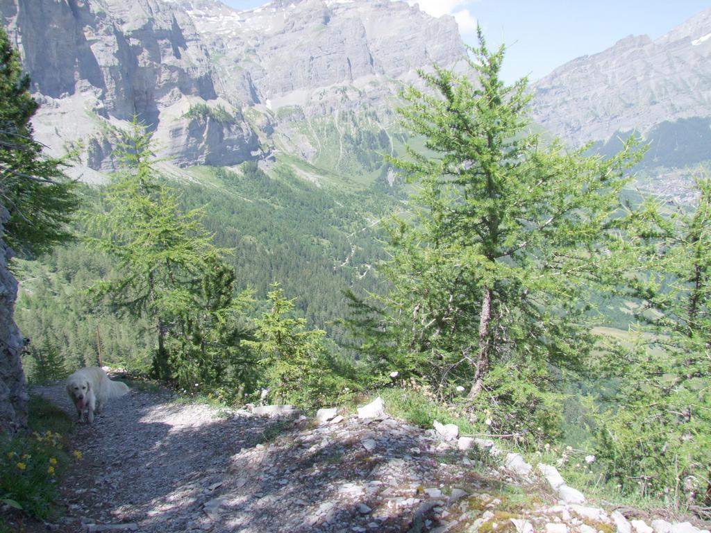 Clic pour voir l'image suivante