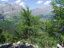 Clic pour agrandir l'�mage (1024x768 pixels; 227 KB)