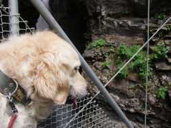 Clic pour agrandir l'mage (1024x768 pixels; 129 KB)